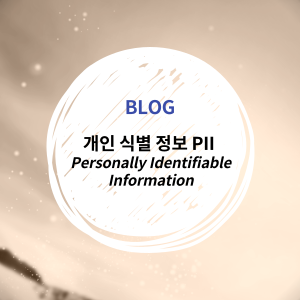  [IT_INFO] 개인 식별 정보, PII(Personally Identifiable Information, 개인 정보)