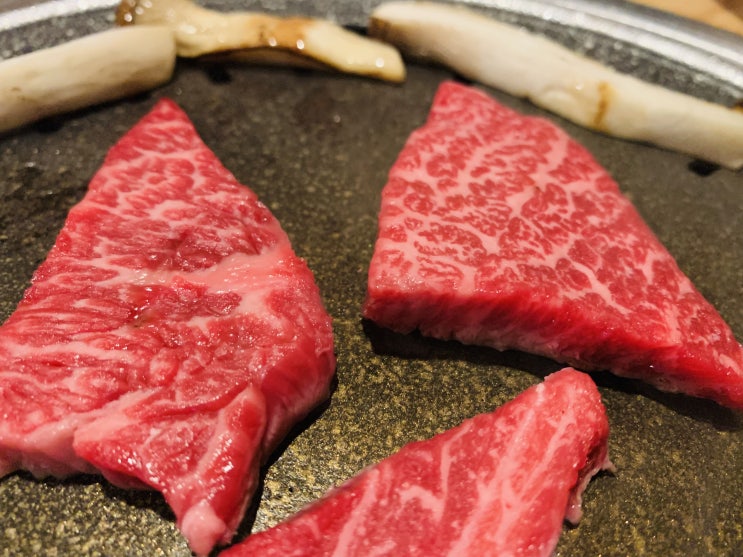  잠실새내역 맛집 역전식당 육즙 끝내주던 최상급 와규 가성비 쩌는 잠실 소고기집