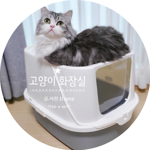 고양이 화장실 | 튼튼하고 견고함은 기본, 사막화 방지가 탁월한 대형 후드형 화장실 여기 있어요.