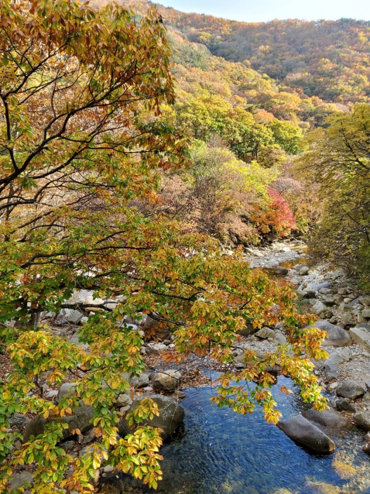  [밀양가볼만한곳 / 호박소계곡 ] 밀양단풍여행 아기랑가기좋은곳 추천해요 ^^