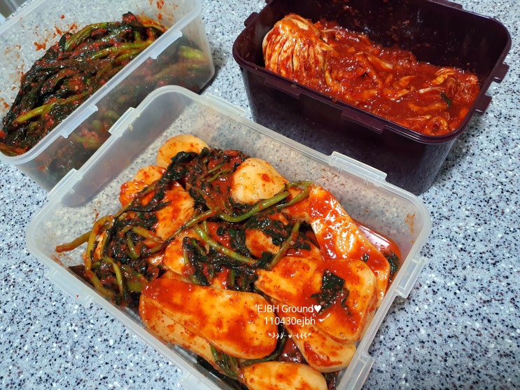  프리미엄 전라도식 김치 주문 추천 해드려요