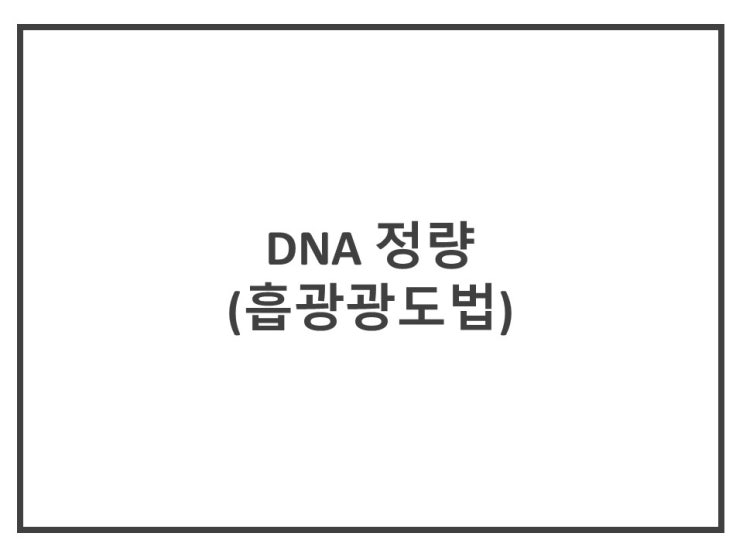  [생화학실험.분자유전학실험.유전공학실험] DNA 정량 (흡광광도법)