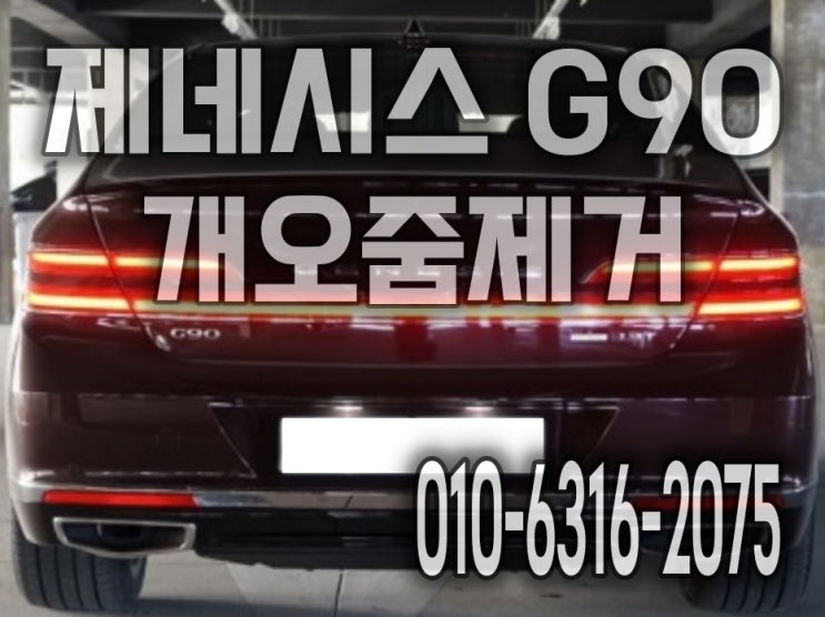  자동차개오줌제거는 시트분해세척으로 디테일세차 받은 후기 제네시스G90 구리