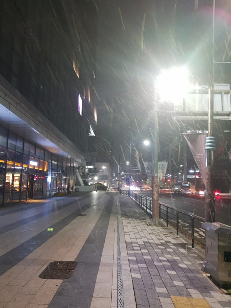  <작은 성취 프로젝트 Day12.>