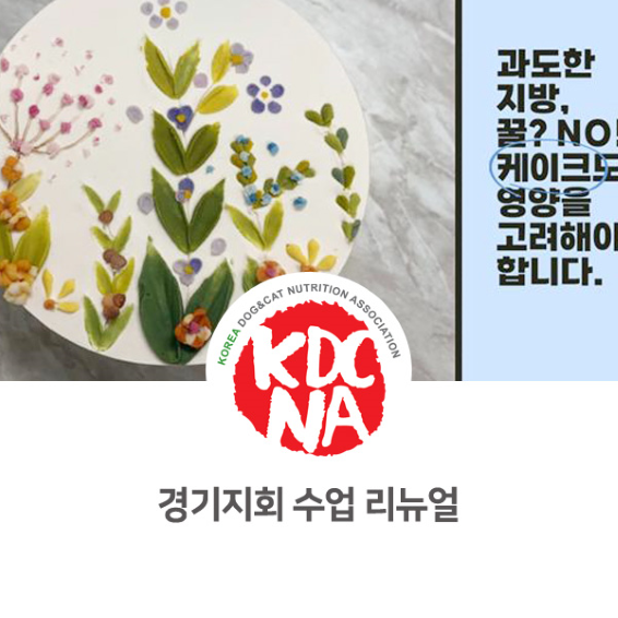  최수연펫푸드아카데미 반려동물케이크전문가 자격 교육 개편 [한국반려동물영양협회/강아지생일/강아지자연식/펫푸드자격증/수원/남양주/안산/고양/김포_909]