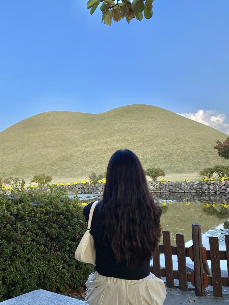  경주 가볼만한 곳 :: 포토존 많은 대릉원 