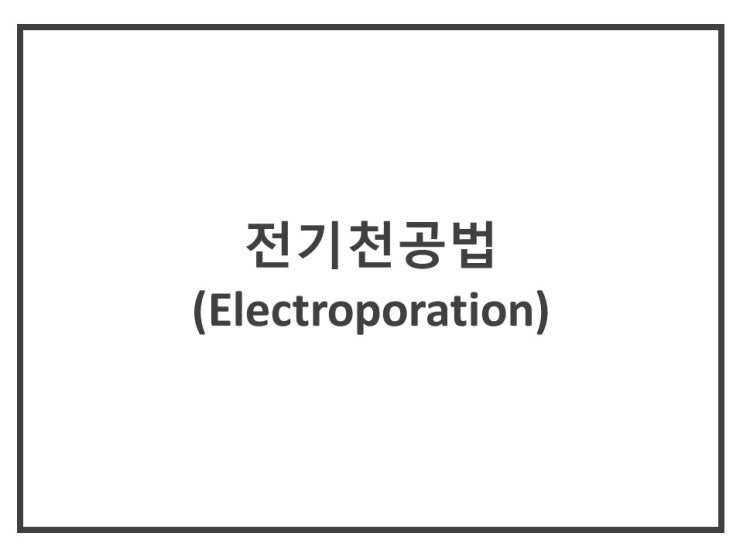  [생화학실험.분자유전학실험.유전공학실험] 전기천공법 (Electroporation)