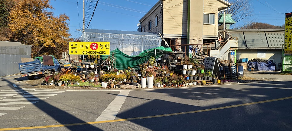 숯골산 사진 6