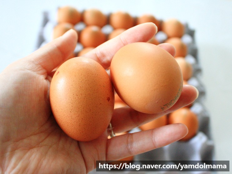 계란택배로 집에서도 간편하게 특란 득템 에그트리농장