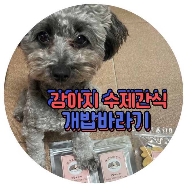  강아지 수제간식 쇼핑몰 개밥바라기 강아지눈물파우더