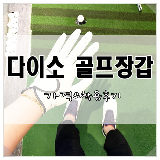 다이소 골프장갑 가격/착용 후기. 골린이의 골프 준비물!