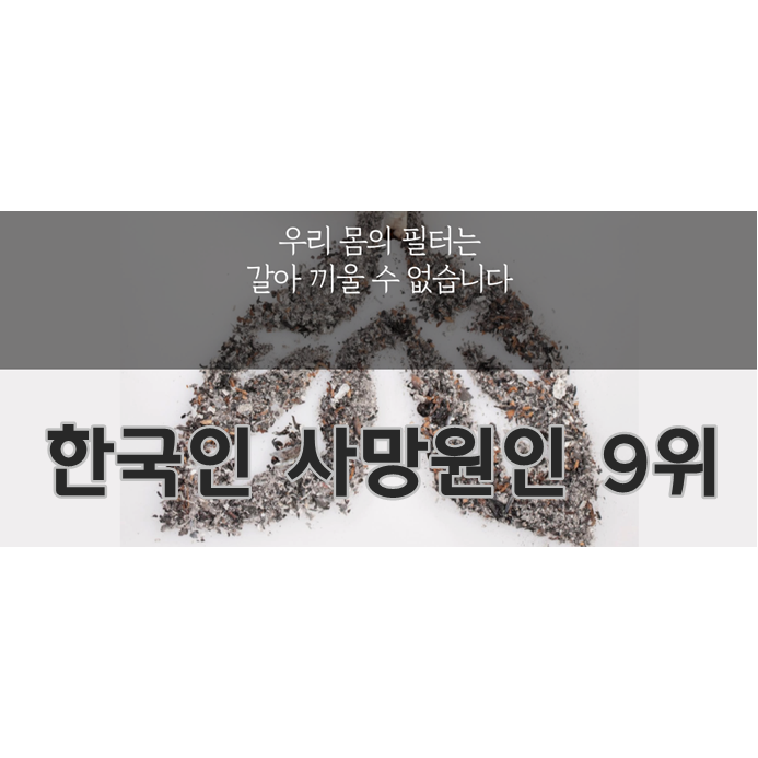  5대만성질환 만성하기도질환의 원인과 증상