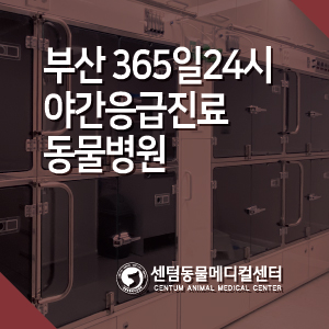  부산 365일 24시 야간응급진료 동물병원, 센텀동물메디컬센터 (수영역 2번 출구)