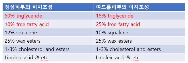  여드름성 피부의 특성 및 치료