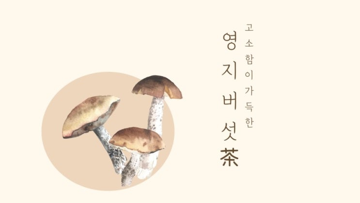  [영지버섯차] 항암, 불로초, 고혈압, 동맥경화, 신경쇠약