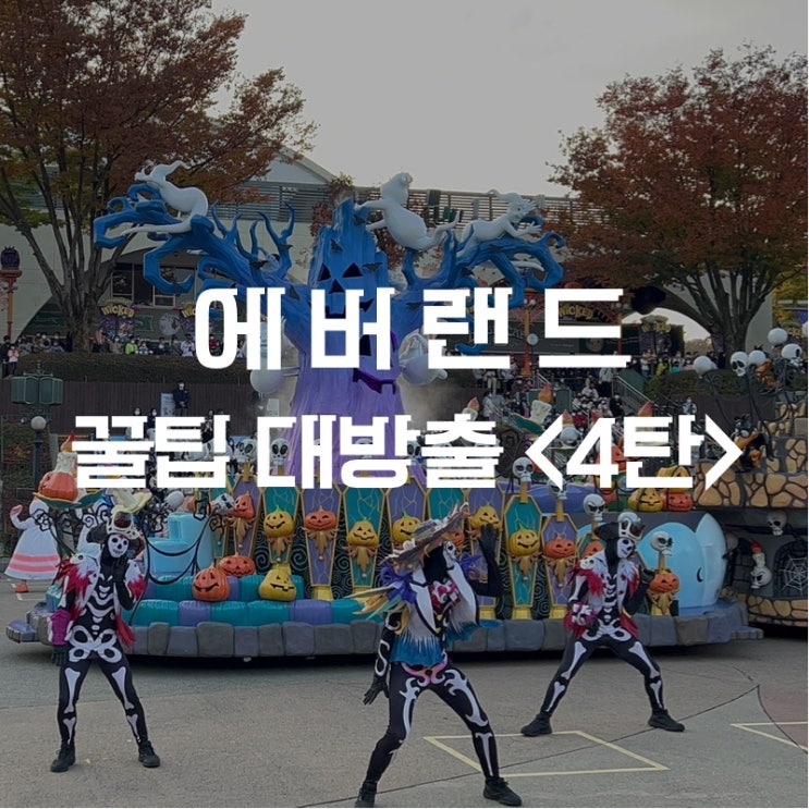 에버랜드 꿀팁 대방출 에버랜드 공연 완전 정복 (4편 퍼레이드부터 물개쇼까지 전부 다 소개)