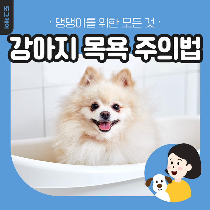  도그케어 강아지 목욕 주의법 / 강아지 피부는 예민해요