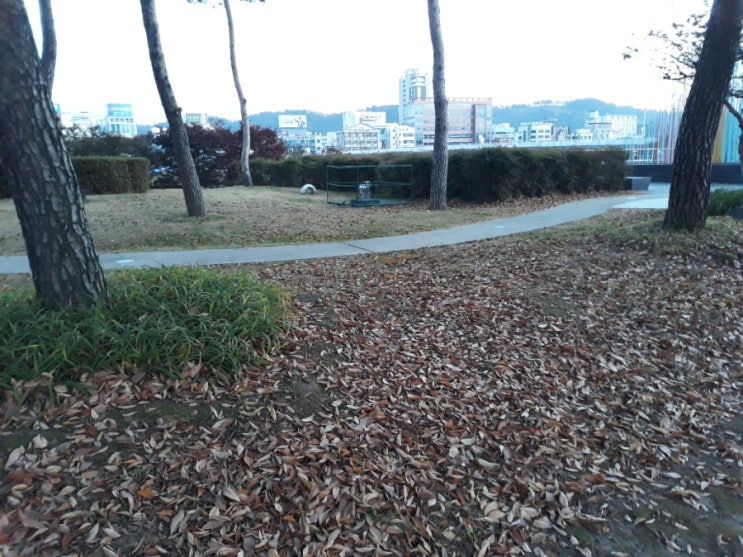 신발 한 짝이 눈물에 젓다