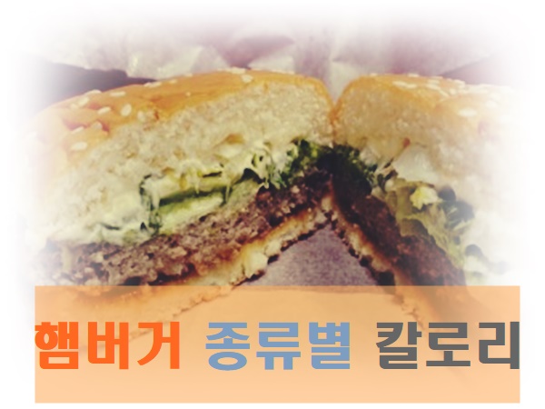  종류별 햄버거 칼로리 알고 먹어요