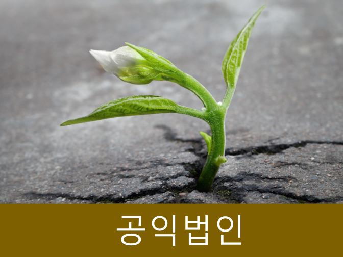  [단5분] 공익법인 세제혜택 및 의무사항 모두 정리!!