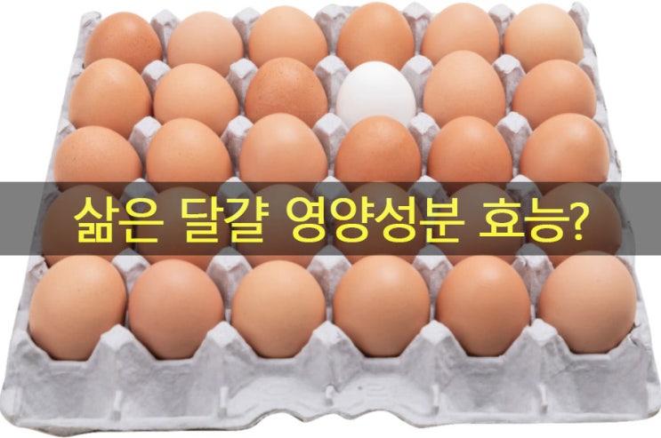  삶은 달걀(계란) 노른자 영양성분과 효능? 콜레스테롤 문제