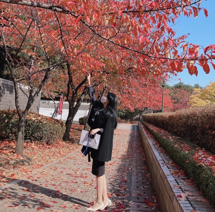  [daily] 서이블리 먹는 일상기록 