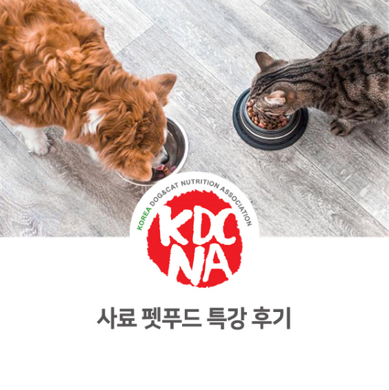 한국반려동물영양협회 온라인 사료, 펫푸드 특강 후기 [한국반려동물영양협회/이지안펫영양사/반려밥상/강아지간식만들기/펫푸드자격증/전주/세종/평택/서산/논산_903]
