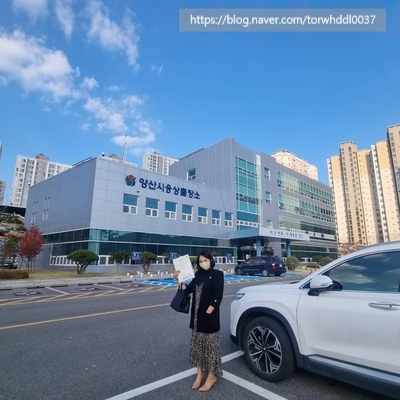  파이진 대리점