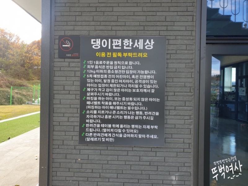 사진 4