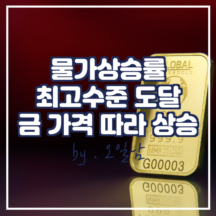  미국 물가상승률이 30년 만에 최고 수준으로 올라감에 따라 금 가격도 따라 상승