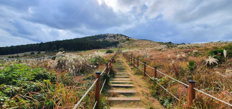  성산일출봉과 우도까지 한눈에! 가볍게 오르기 좋은 제주도 백약이오름!