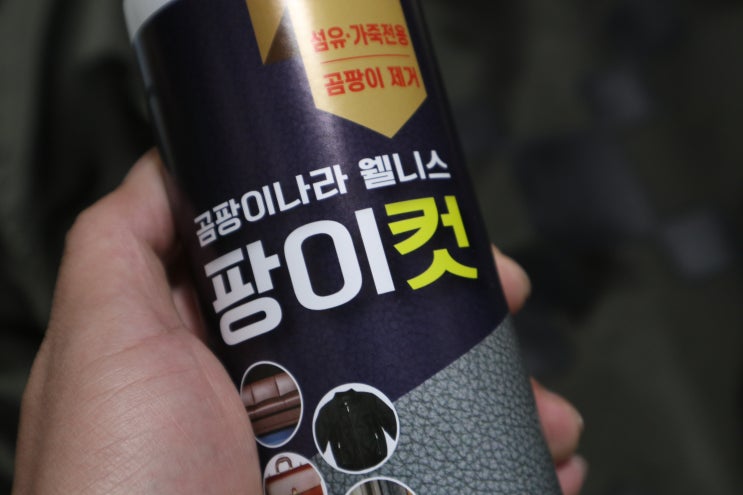  팡이컷으로 오프화이트 봄버 곰팡이 제거