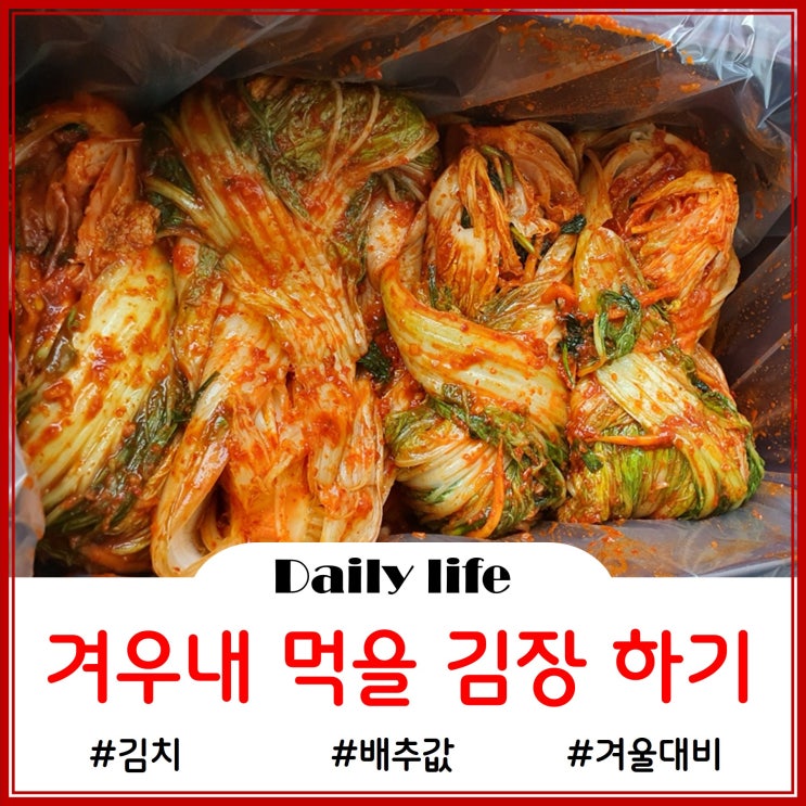  겨우내 먹을 김치를 위한 김장하기!!