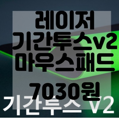  Razer 기간투스 v2 게이밍 마우스 천 패드