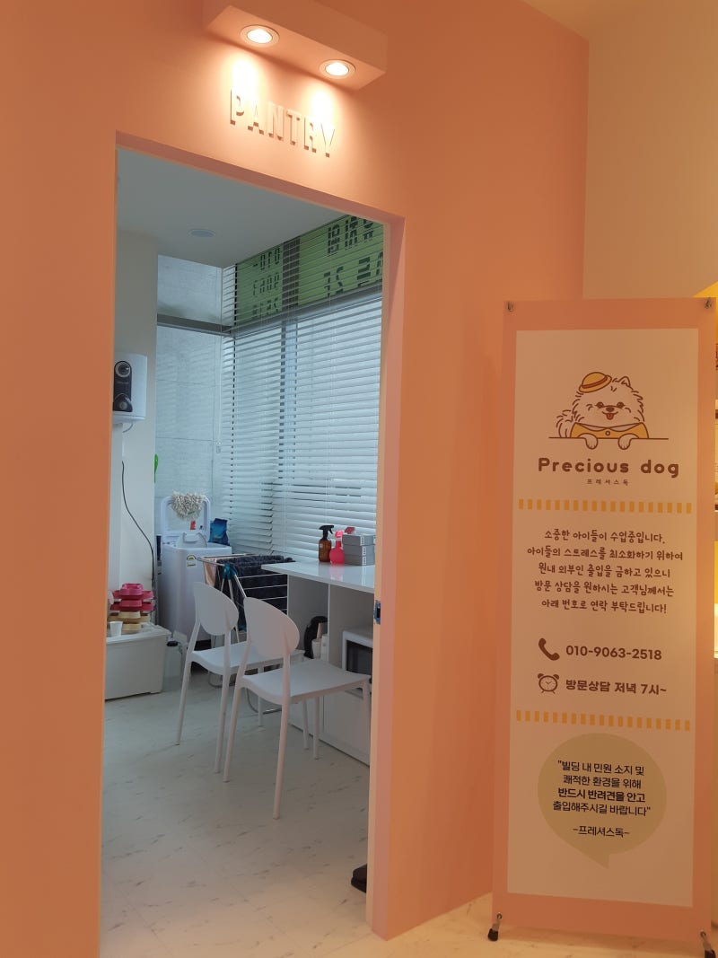 사진 8