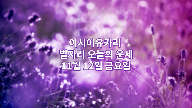  이시이유카리 오늘의 운세 11월 12일 금요일