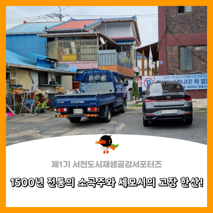  [서천군도시재생공감서포터즈단] 1500년 전통의 소곡주와 세모시의 고장 한산!