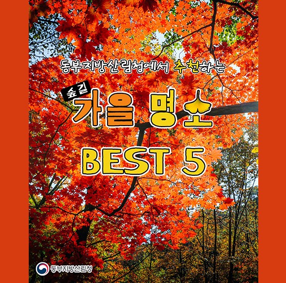 세상 아름다운 가을 명소 BEST 5, 마지막 가을을 느껴보자!