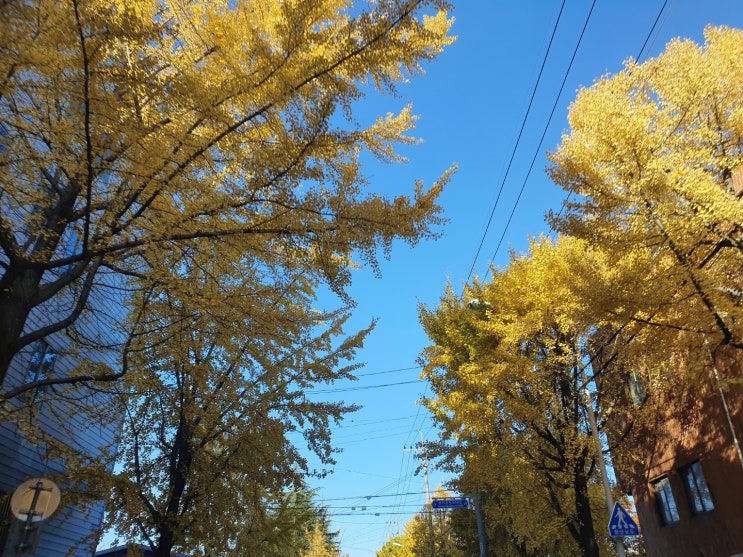  블로그 첫 걸음을 하면서