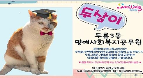 '철거촌 구조’ 길고양이 ‘두삼이’ 명예사회복지공무원 임명 '철거촌 구조’ 길고양이 ‘두삼이’ 명예사회복지공무원 임명