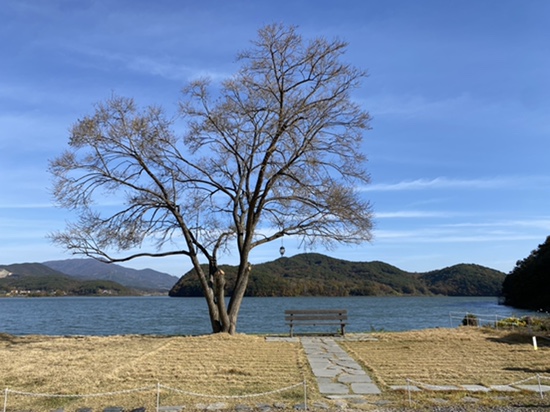 충남 보령,대천 카페 “블루레이크 ”_대천해수욕장 근처 이쁜 장소 영화촬영지, 인생샷, 분위기있는 프로필사진 득템가능!!