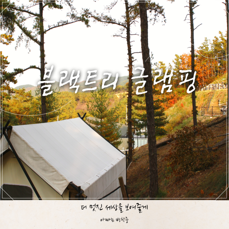 서울 근교 글램핑장 블랙트리 글램핑 다녀왔어요! 서울 근교 글램핑장 블랙트리 글램핑 다녀왔어요!