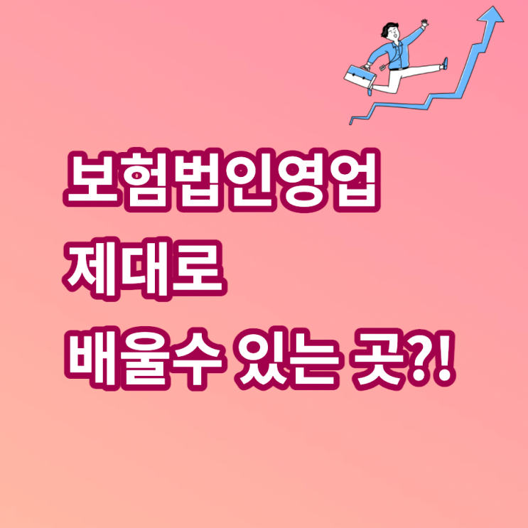  보험법인영업 제대로 배울 수 있는 곳?!