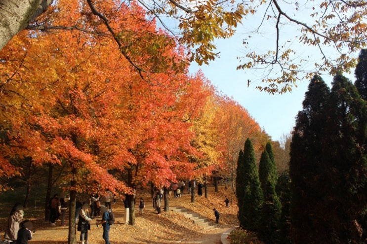  경상남도 진주수목원 단풍 겨울 부산근교 가볼만한 곳