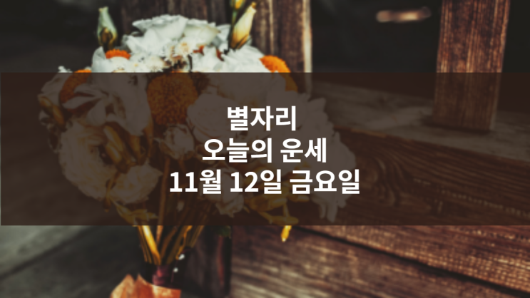  별자리 오늘의 운세 11월 12일 금요일