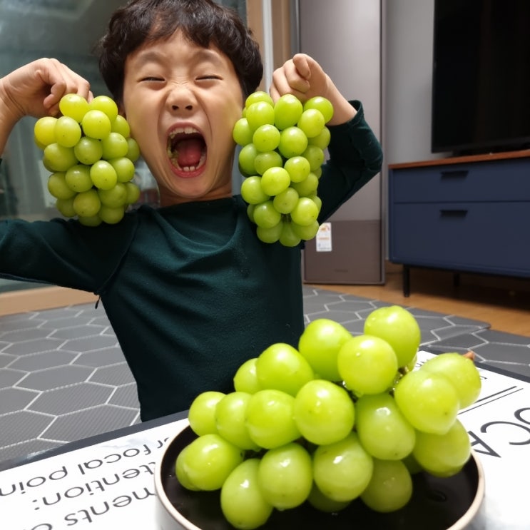  김천 샤인머스켓 믿고먹는 고당도 아임샤인 단맛폭발:))