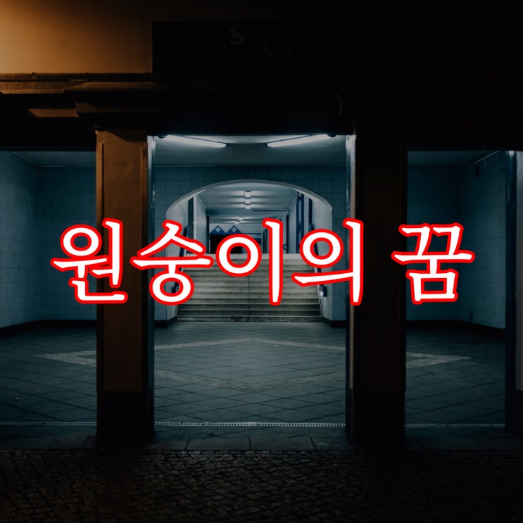  원숭이의 꿈 / 일본 레전드 괴담 공포 무서운 이야기