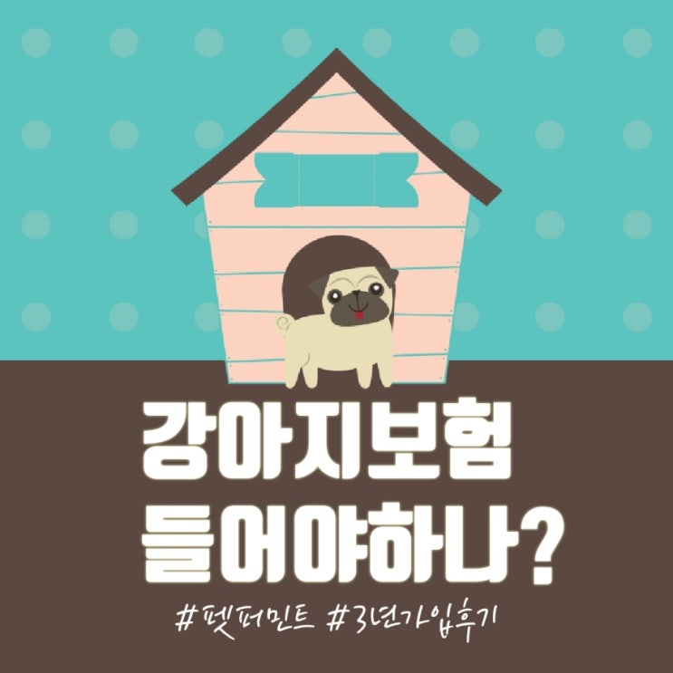  반려동물 보험 들어야할까? 펫퍼민트 3년 가입 후기