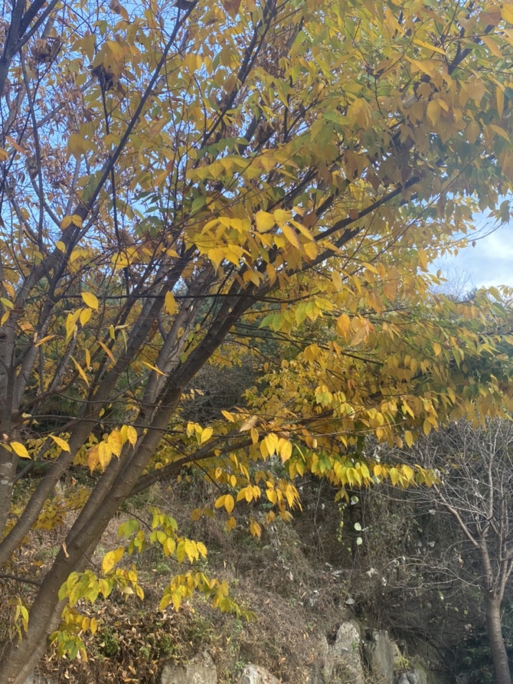  #가평명지산카라반글램핑#솔직후기