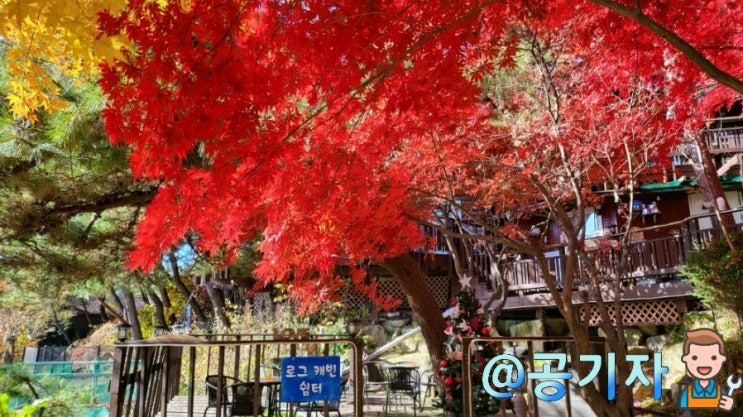  단풍이 너무 이뻤던 가을여행 팬션 추천, 횡성 캐빈타운